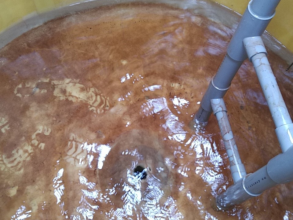 貯水槽清掃01＿株式会社ビルカン